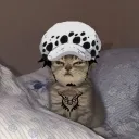 sinpho