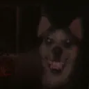 maxxiah