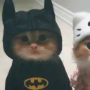 bipolar_