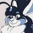 alkorarabbit