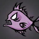 diregoldfish
