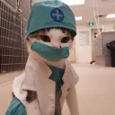dr.meooow