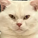 sawasdeekubpee