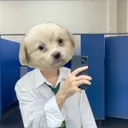 sawasdeekubpee