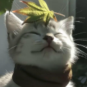 avatar 𝑬𝒏𝒓𝒊𝒄𝒐