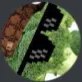 _.broccoli._