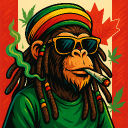 babouche_the_stoner