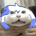 avatar YonKaGor