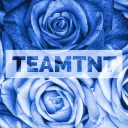teamtnt
