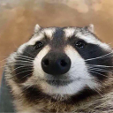 avatar saucybaguette13