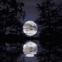 avatar 𝖄𝖆𝖓𝖓𝖎𝖐