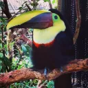 devaron