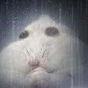 mikatom