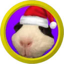 fetidbobo