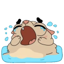 gooofball5000 avatar