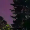 zag_highroll