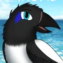 thehiddenmagpie
