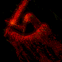 sirionbloodmoon