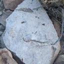 nvgeologist556