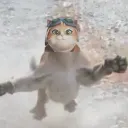 makarallama