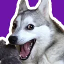 husky_nautique