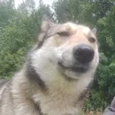 vraaaven