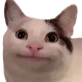 essybd