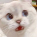 avatar JaffaCakes118