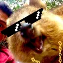 thequok