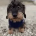 ninnn_