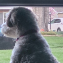 xguroo#3812's avatar