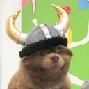 fyandor