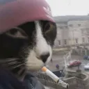 monke_8