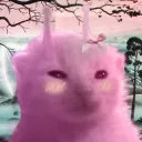 webemez