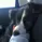zephyr_._._.