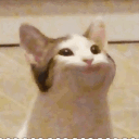 syharka