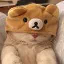 mapourtofu