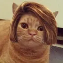 boobcat