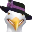 gull.png