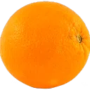 Dunk's Avatar