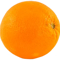 Dunk's Avatar