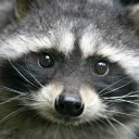 crimaz