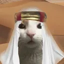z3ra7is