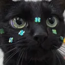cosyjessie