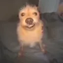 iomegx