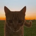 thomasssssssssino