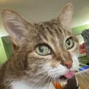 ezrc