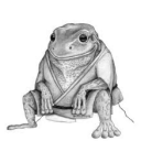 avatar The Frog Lord