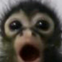 juule member profile picture