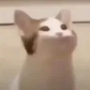 antemm